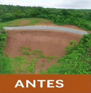 revegt 1 e1751316347959