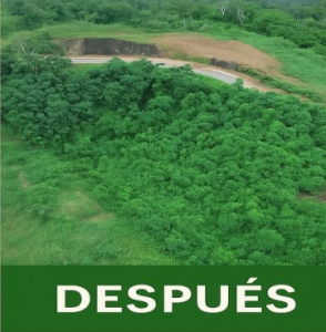 revegt e1751316298742