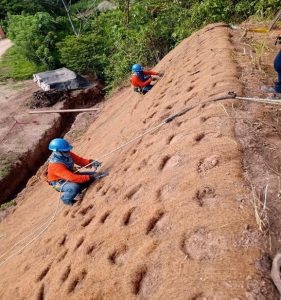 WhatsApp Image 2025 06 14 at 10.28.42 PM