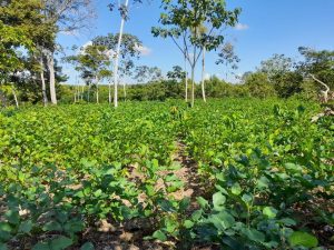 WhatsApp Image 2025 06 14 at 9.22.30 PM