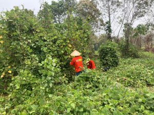 WhatsApp Image 2025 06 14 at 9.25.48 PM 5