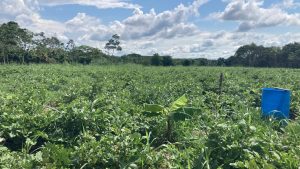 WhatsApp Image 2025 06 30 at 5.34.43 PM