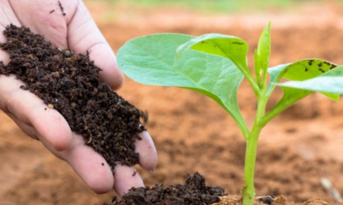 WhatsApp Image 2025 07 03 at 12.17.37 PM